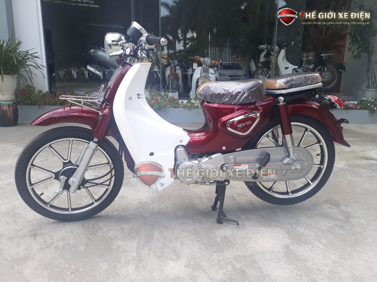 Xe Máy 50cc Cub New Vigor Ally Vành Đúc