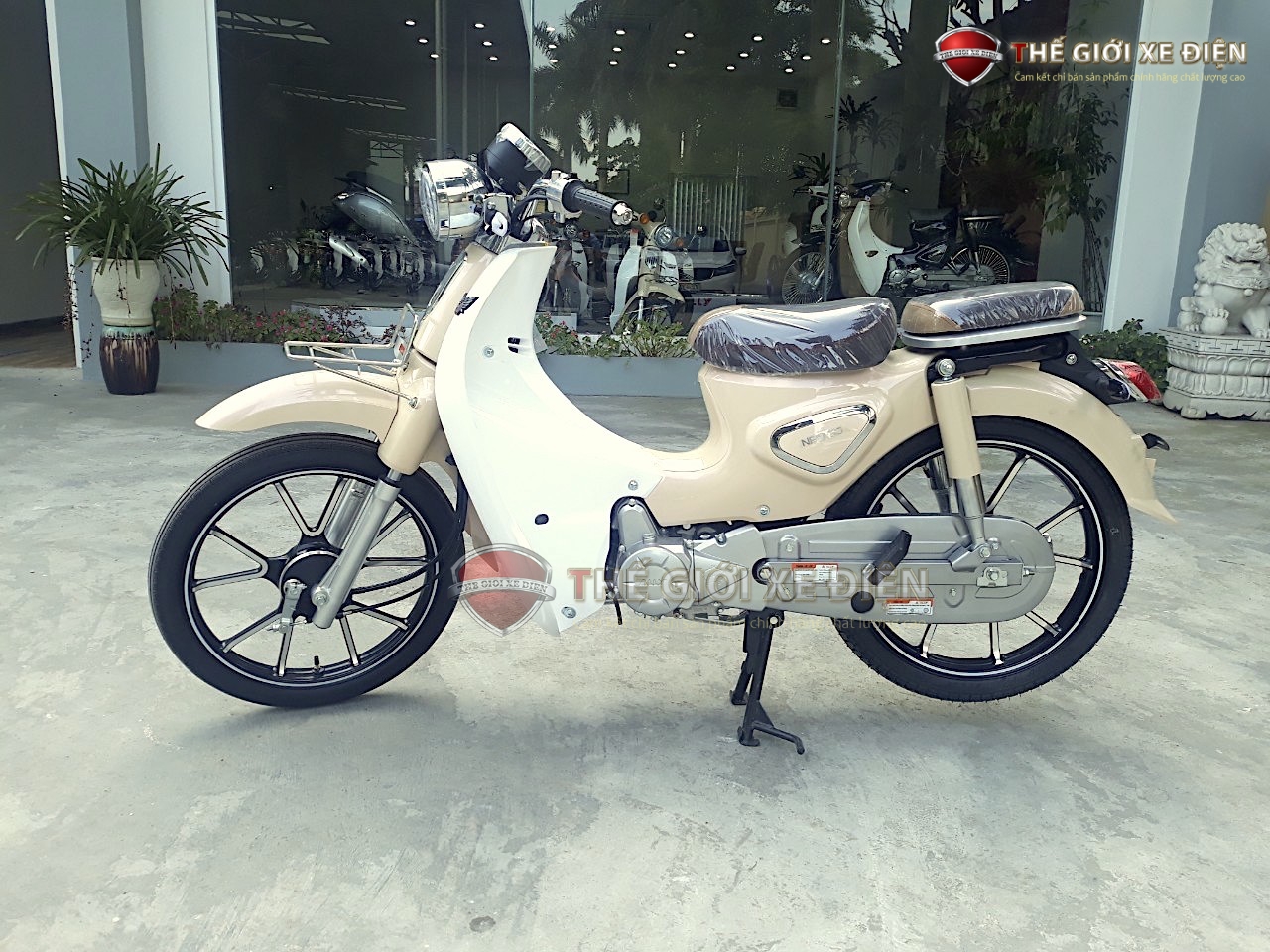 Xe Máy 50cc Cub New Vigor Ally Vành Đúc