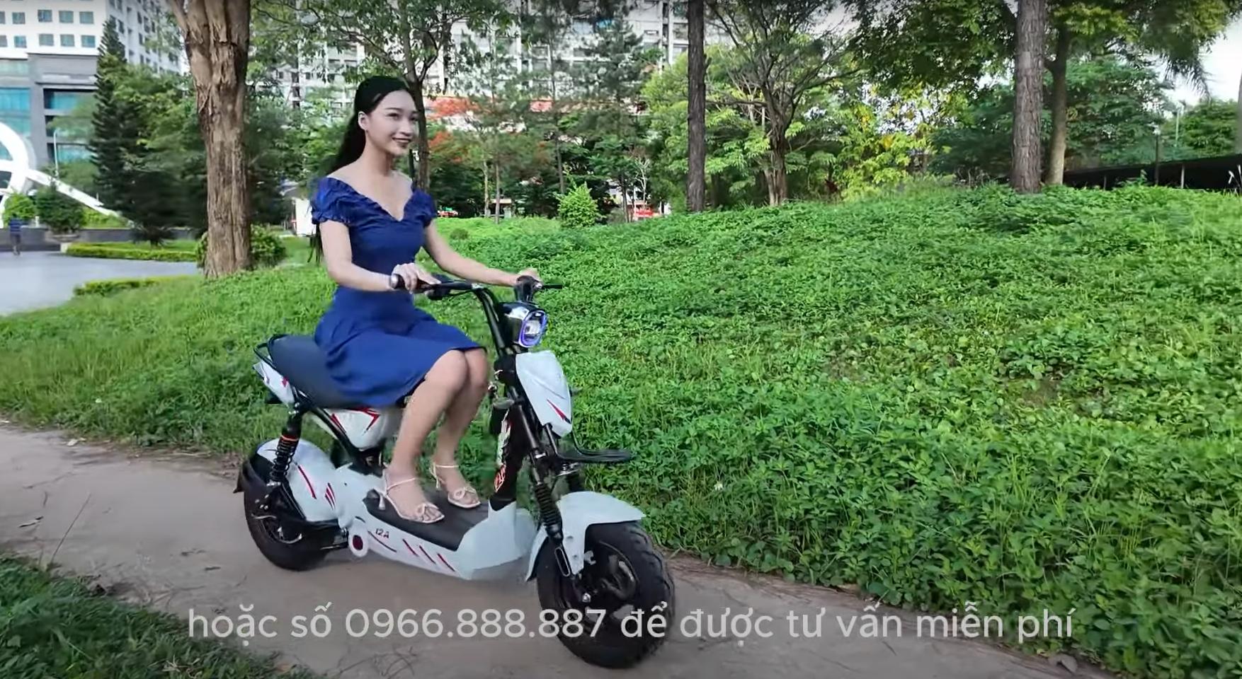xe đạp điện DT 12A xe đạp điện DT 12A