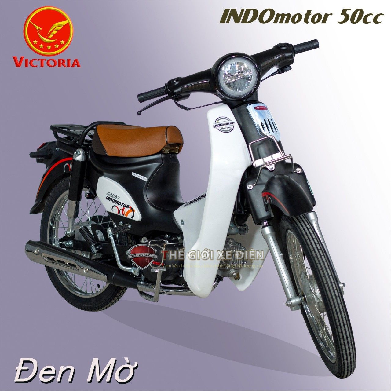 giá xe cub 50cc 2025