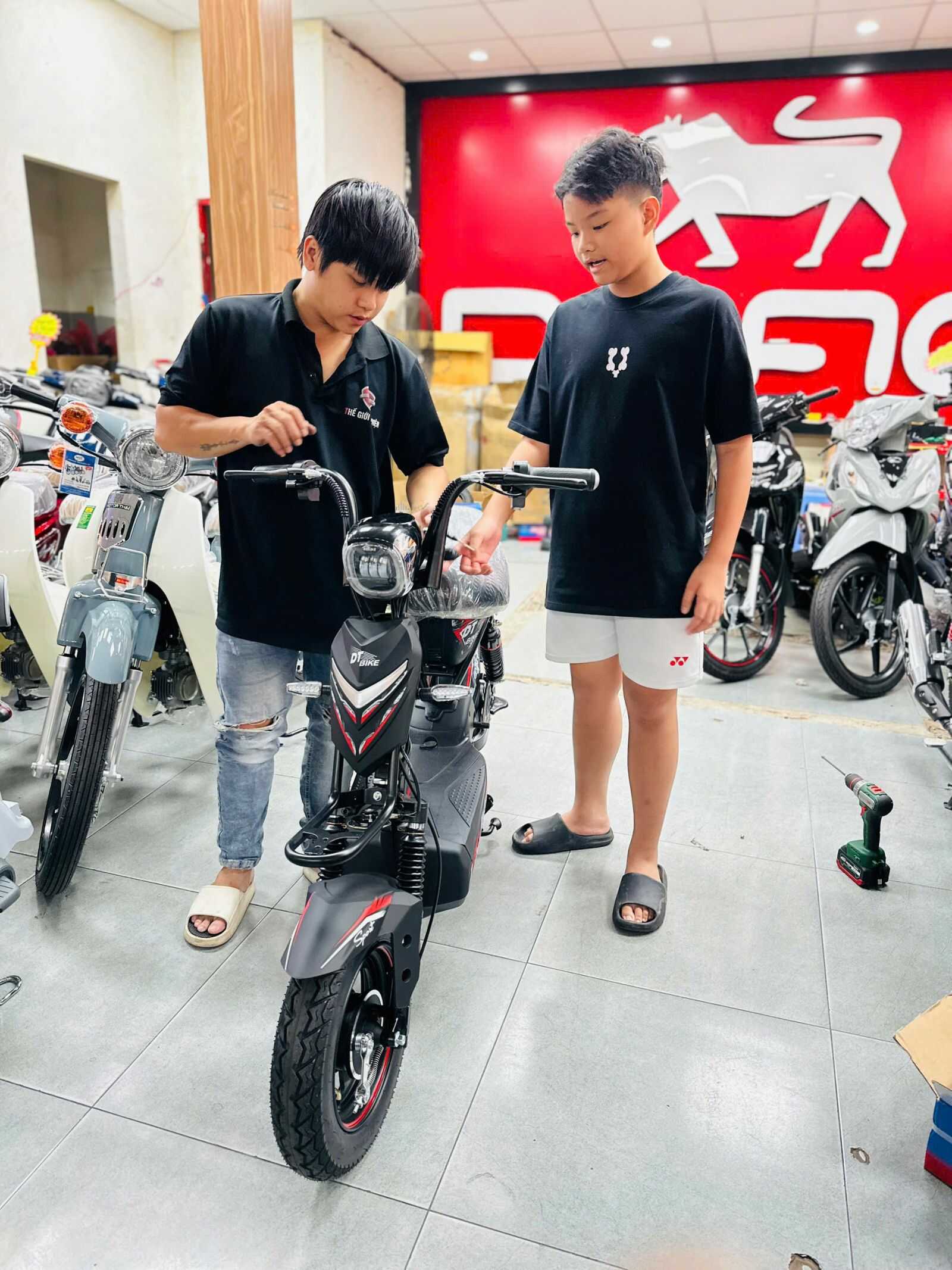 xe đạp điện DT 12A xe đạp điện DT 12A