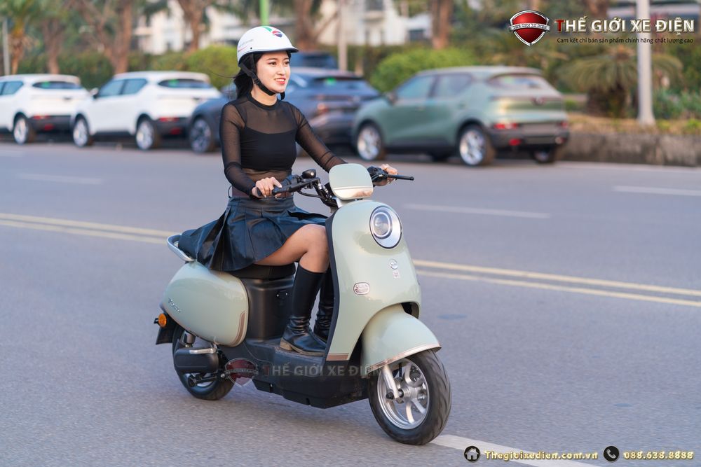 Xe đạp điện Dibao Rosa