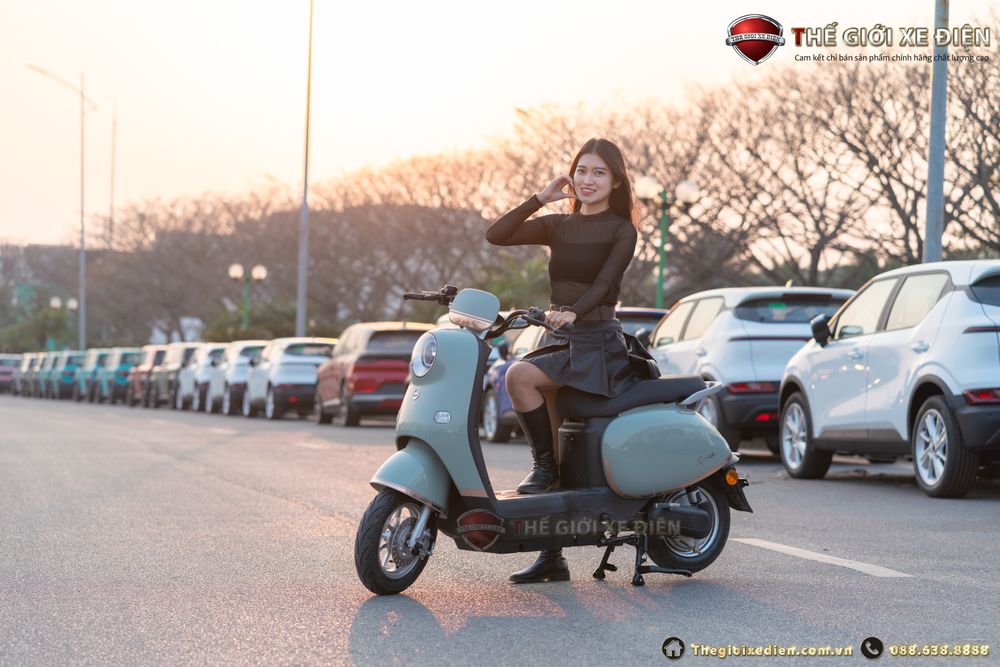 Xe đạp điện Dibao Rosa